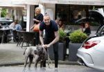 Amsterdam 27 juni 2019
Dave Roelvink met zijn auto ( Dave heeft zijn rijbewijs terug) en hond op de cornelis schuytstraat.