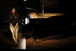 Amsterdam 29 mei 2019
Iris Hond in het concertgebouw.