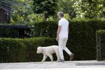 Loenen 24 juni 2019
Pieter van Beukering ( man van Yvon Jaspers) laat hond uit en vertrekt daarna op electrische fiets naar zijn werk.