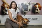 Amsterdam 12 juni 2019
Premiere a dogs Journey by Lucky Smit.
Bas Smit Anouk Smulders en Rosanna Kluivert zijn aanwezig met hun honden.