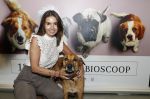 Amsterdam 12 juni 2019
Premiere a dogs Journey by Lucky Smit.
Bas Smit Anouk Smulders en Rosanna Kluivert zijn aanwezig met hun honden.