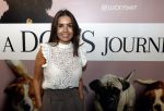 Amsterdam 12 juni 2019
Premiere a dogs Journey by Lucky Smit.
Bas Smit Anouk Smulders en Rosanna Kluivert zijn aanwezig met hun honden.