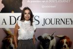 Amsterdam 12 juni 2019
Premiere a dogs Journey by Lucky Smit.
Bas Smit Anouk Smulders en Rosanna Kluivert zijn aanwezig met hun honden.