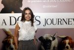 Amsterdam 12 juni 2019
Premiere a dogs Journey by Lucky Smit.
Bas Smit Anouk Smulders en Rosanna Kluivert zijn aanwezig met hun honden.
