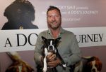 Amsterdam 12 juni 2019
Premiere a dogs Journey by Lucky Smit.
Bas Smit Anouk Smulders en Rosanna Kluivert zijn aanwezig met hun honden. Steinar Dietz