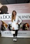 Amsterdam 12 juni 2019
Premiere a dogs Journey by Lucky Smit.
Bas Smit Anouk Smulders en Rosanna Kluivert zijn aanwezig met hun honden.