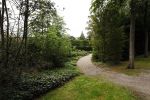 Den Haag  17 juli 2020
Koninklijk fotouurtje in de tuin van Huis ten Bosch . Vanwege corona was er veel minder pers uitgenodigd dan andere jaren. Aanwezig koning Willem Alexander Koningina Maxima en de prinsessen Amalia Alexia en Ariane .