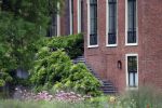 Den Haag  17 juli 2020
Koninklijk fotouurtje in de tuin van Huis ten Bosch . Vanwege corona was er veel minder pers uitgenodigd dan andere jaren. Aanwezig koning Willem Alexander Koningina Maxima en de prinsessen Amalia Alexia en Ariane .