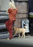 Amsterdam 17 juni 2021
Bridget Maasland laat haar hond uit.