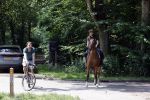 Amsterdamse Bos 26 juni 2021
Fajah Lourens en haar nieuwe vriend Bart Hondebrink in het Amsterdamse bos. Fajah te paard en Bart op een mountainbike