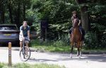 Amsterdamse Bos 26 juni 2021
Fajah Lourens en haar nieuwe vriend Bart Hondebrink in het Amsterdamse bos. Fajah te paard en Bart op een mountainbike