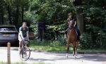 Amsterdamse Bos 26 juni 2021
Fajah Lourens en haar nieuwe vriend Bart Hondebrink in het Amsterdamse bos. Fajah te paard en Bart op een mountainbike