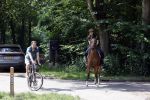 Amsterdamse Bos 26 juni 2021
Fajah Lourens en haar nieuwe vriend Bart Hondebrink in het Amsterdamse bos. Fajah te paard en Bart op een mountainbike