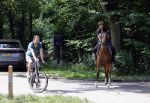 Amsterdamse Bos 26 juni 2021
Fajah Lourens en haar nieuwe vriend Bart Hondebrink in het Amsterdamse bos. Fajah te paard en Bart op een mountainbike
