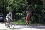 Amsterdamse Bos 26 juni 2021
Fajah Lourens en haar nieuwe vriend Bart Hondebrink in het Amsterdamse bos. Fajah te paard en Bart op een mountainbike