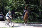 Amsterdamse Bos 26 juni 2021
Fajah Lourens en haar nieuwe vriend Bart Hondebrink in het Amsterdamse bos. Fajah te paard en Bart op een mountainbike