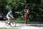 Amsterdamse Bos 26 juni 2021
Fajah Lourens en haar nieuwe vriend Bart Hondebrink in het Amsterdamse bos. Fajah te paard en Bart op een mountainbike