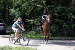 Amsterdamse Bos 26 juni 2021
Fajah Lourens en haar nieuwe vriend Bart Hondebrink in het Amsterdamse bos. Fajah te paard en Bart op een mountainbike