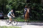 Amsterdamse Bos 26 juni 2021
Fajah Lourens en haar nieuwe vriend Bart Hondebrink in het Amsterdamse bos. Fajah te paard en Bart op een mountainbike