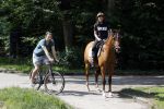 Amsterdamse Bos 26 juni 2021
Fajah Lourens en haar nieuwe vriend Bart Hondebrink in het Amsterdamse bos. Fajah te paard en Bart op een mountainbike