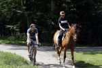 Amsterdamse Bos 26 juni 2021
Fajah Lourens en haar nieuwe vriend Bart Hondebrink in het Amsterdamse bos. Fajah te paard en Bart op een mountainbike