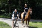 Amsterdamse Bos 26 juni 2021
Fajah Lourens en haar nieuwe vriend Bart Hondebrink in het Amsterdamse bos. Fajah te paard en Bart op een mountainbike