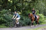 Amsterdamse Bos 26 juni 2021
Fajah Lourens en haar nieuwe vriend Bart Hondebrink in het Amsterdamse bos. Fajah te paard en Bart op een mountainbike