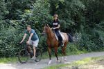 Amsterdamse Bos 26 juni 2021
Fajah Lourens en haar nieuwe vriend Bart Hondebrink in het Amsterdamse bos. Fajah te paard en Bart op een mountainbike