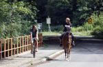 Amsterdamse Bos 26 juni 2021
Fajah Lourens en haar nieuwe vriend Bart Hondebrink in het Amsterdamse bos. Fajah te paard en Bart op een mountainbike