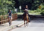 Amsterdamse Bos 26 juni 2021
Fajah Lourens en haar nieuwe vriend Bart Hondebrink in het Amsterdamse bos. Fajah te paard en Bart op een mountainbike