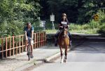 Amsterdamse Bos 26 juni 2021
Fajah Lourens en haar nieuwe vriend Bart Hondebrink in het Amsterdamse bos. Fajah te paard en Bart op een mountainbike
