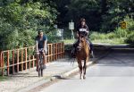 Amsterdamse Bos 26 juni 2021
Fajah Lourens en haar nieuwe vriend Bart Hondebrink in het Amsterdamse bos. Fajah te paard en Bart op een mountainbike