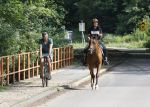 Amsterdamse Bos 26 juni 2021
Fajah Lourens en haar nieuwe vriend Bart Hondebrink in het Amsterdamse bos. Fajah te paard en Bart op een mountainbike