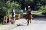 Amsterdamse Bos 26 juni 2021
Fajah Lourens en haar nieuwe vriend Bart Hondebrink in het Amsterdamse bos. Fajah te paard en Bart op een mountainbike
