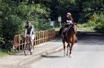 Amsterdamse Bos 26 juni 2021
Fajah Lourens en haar nieuwe vriend Bart Hondebrink in het Amsterdamse bos. Fajah te paard en Bart op een mountainbike