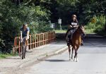 Amsterdamse Bos 26 juni 2021
Fajah Lourens en haar nieuwe vriend Bart Hondebrink in het Amsterdamse bos. Fajah te paard en Bart op een mountainbike