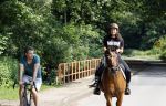 Amsterdamse Bos 26 juni 2021
Fajah Lourens en haar nieuwe vriend Bart Hondebrink in het Amsterdamse bos. Fajah te paard en Bart op een mountainbike