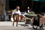 Amsterdam 5 juli 2022
Connie Witteman komt haar eigen hond tegen op de corneliss chuytstraat  die door uitlaatservice uitgelaten wordt