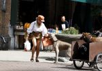 Amsterdam 5 juli 2022
Connie Witteman komt haar eigen hond tegen op de corneliss chuytstraat  die door uitlaatservice uitgelaten wordt
