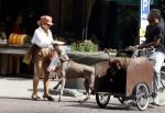 Amsterdam 5 juli 2022
Connie Witteman komt haar eigen hond tegen op de corneliss chuytstraat  die door uitlaatservice uitgelaten wordt