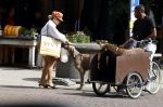 Amsterdam 5 juli 2022
Connie Witteman komt haar eigen hond tegen op de corneliss chuytstraat  die door uitlaatservice uitgelaten wordt