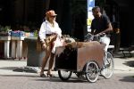 Amsterdam 5 juli 2022
Connie Witteman komt haar eigen hond tegen op de corneliss chuytstraat  die door uitlaatservice uitgelaten wordt