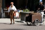 Amsterdam 5 juli 2022
Connie Witteman komt haar eigen hond tegen op de corneliss chuytstraat  die door uitlaatservice uitgelaten wordt
