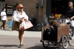 Amsterdam 5 juli 2022
Connie Witteman komt haar eigen hond tegen op de corneliss chuytstraat  die door uitlaatservice uitgelaten wordt