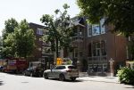 Amsterdam 16 juni 2022
Bij het nieuwe huis van Gigi ravelli zijn ze planten aan het verplaatsen.