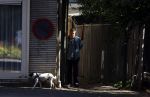 Amsterdam 14 juli 2022
Hans v d Togt laat zijn hond uit in het centrum van Amsterdam.
