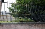Den Haag 21 juli 2022
Binnenkijken bij paleis Noordeinde en de koninklijke stallen.
hek paleis noordeinde mag wel geschilderd worden