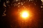 Muiden 8 juli 2020
Ondergaande zon op de krijgsman