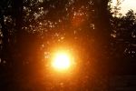 Muiden 8 juli 2020
Ondergaande zon op de krijgsman