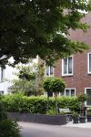 Weesp 11 juni 2022
Huis Pernille la Lau